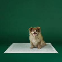 Dog Pee Pads - Ultra Absorbent Training Pads with AbsorbShield™+ Technology | 2X Faster Absorption