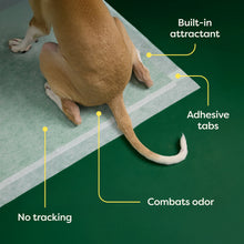 Dog Pee Pads - Ultra Absorbent Training Pads with AbsorbShield™+ Technology | 2X Faster Absorption