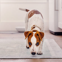 Dog Pee Pads - Ultra Absorbent Training Pads with AbsorbShield™+ Technology | 2X Faster Absorption