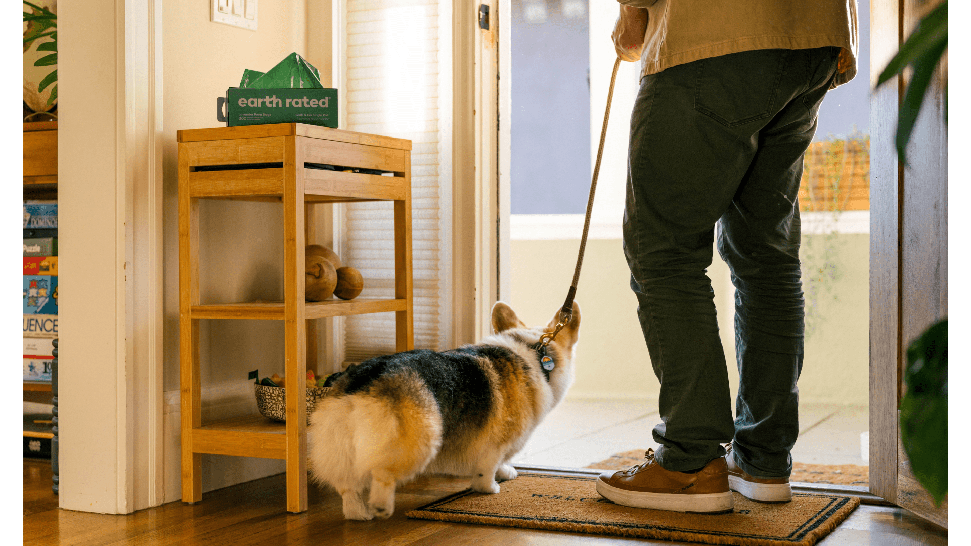 How Many Times Do Dogs Poop in a Day?