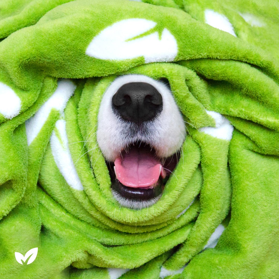 2017 Earth Rated Blanket Winners