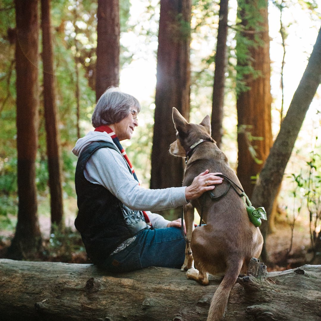 7 Amazing Dog Facts