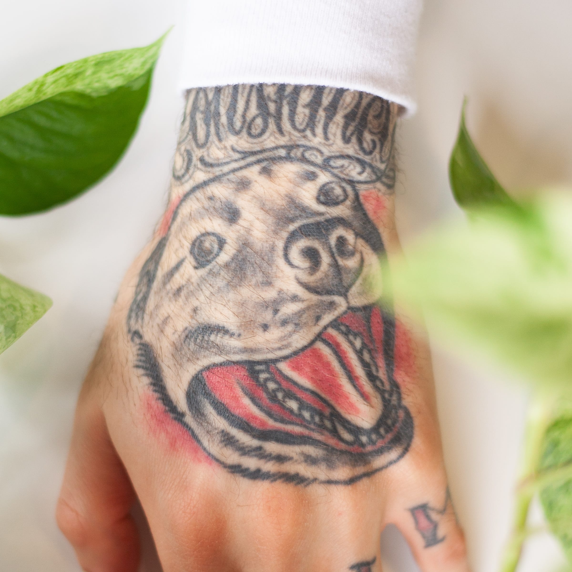 How to celebrate your pet with a tattoo