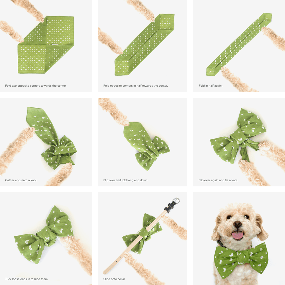 How To Tie A Bandana Into A Bowtie