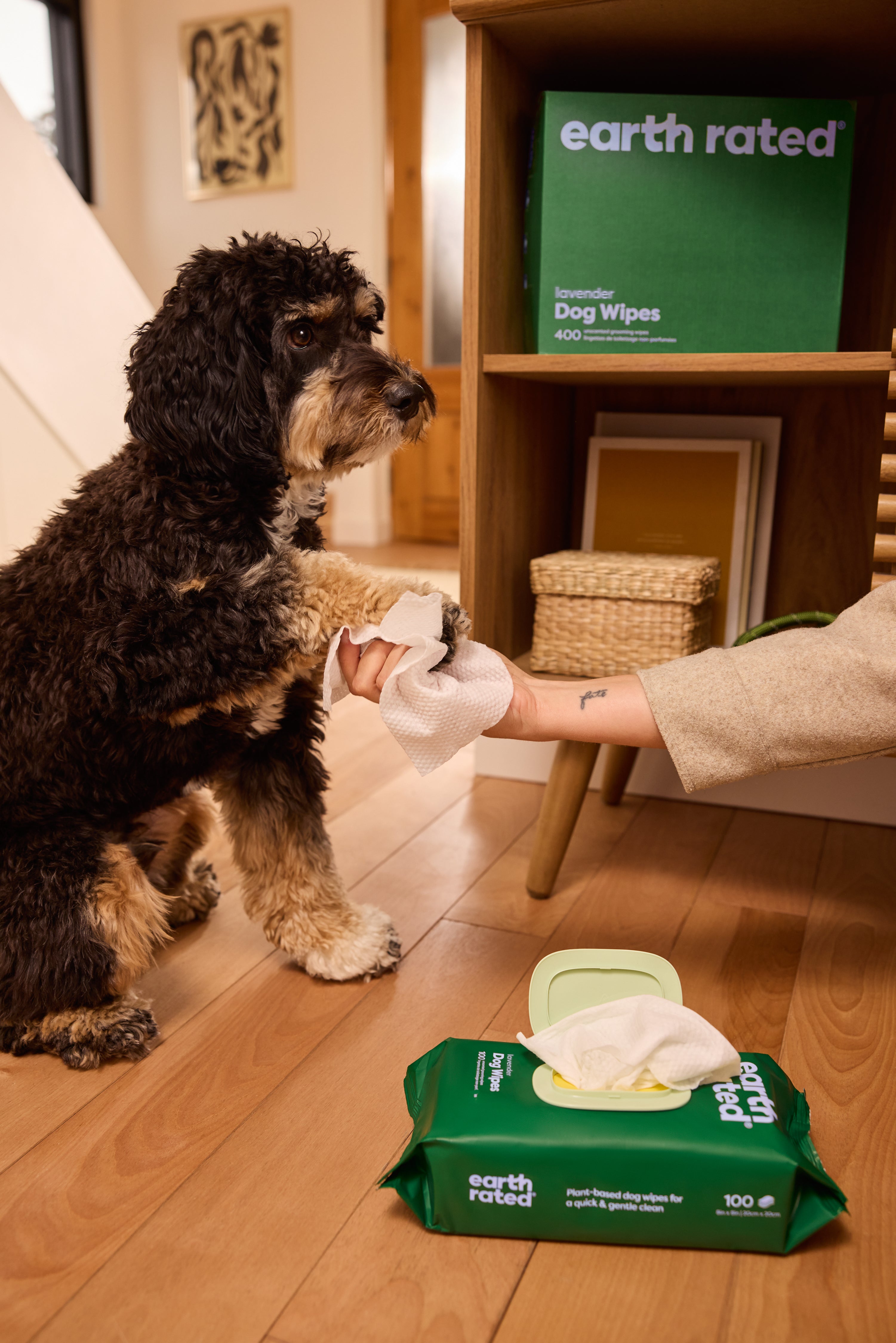 Spring cleaning for dog people