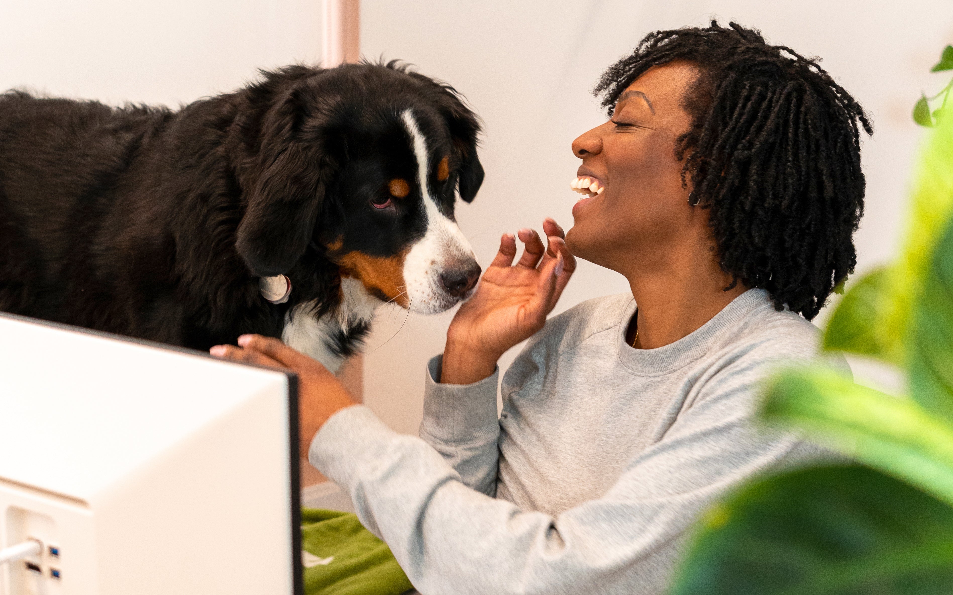 How To Celebrate Take Your Dog To Work Day