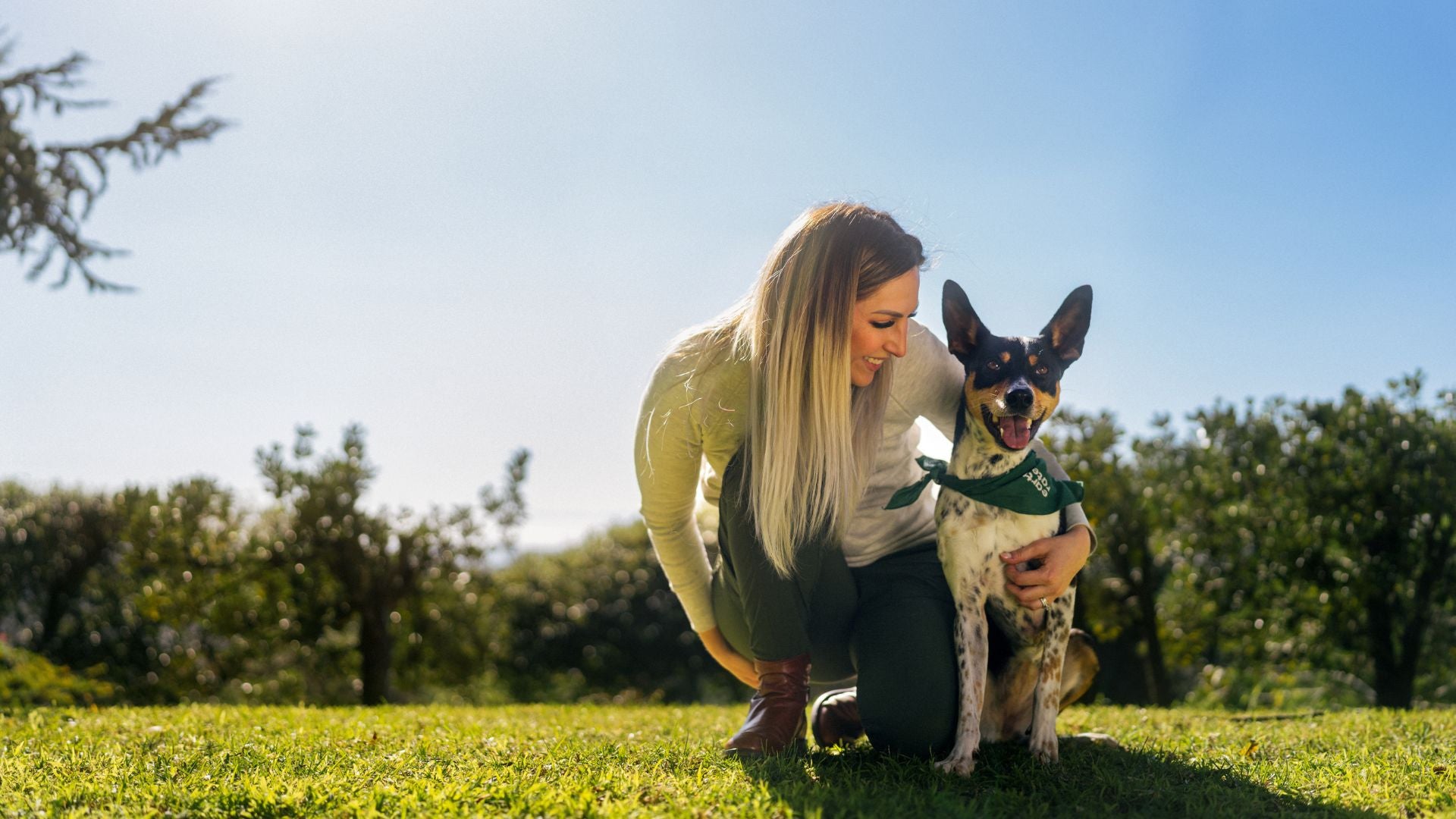 Your Ultimate Guide to Clicker Training for Dogs