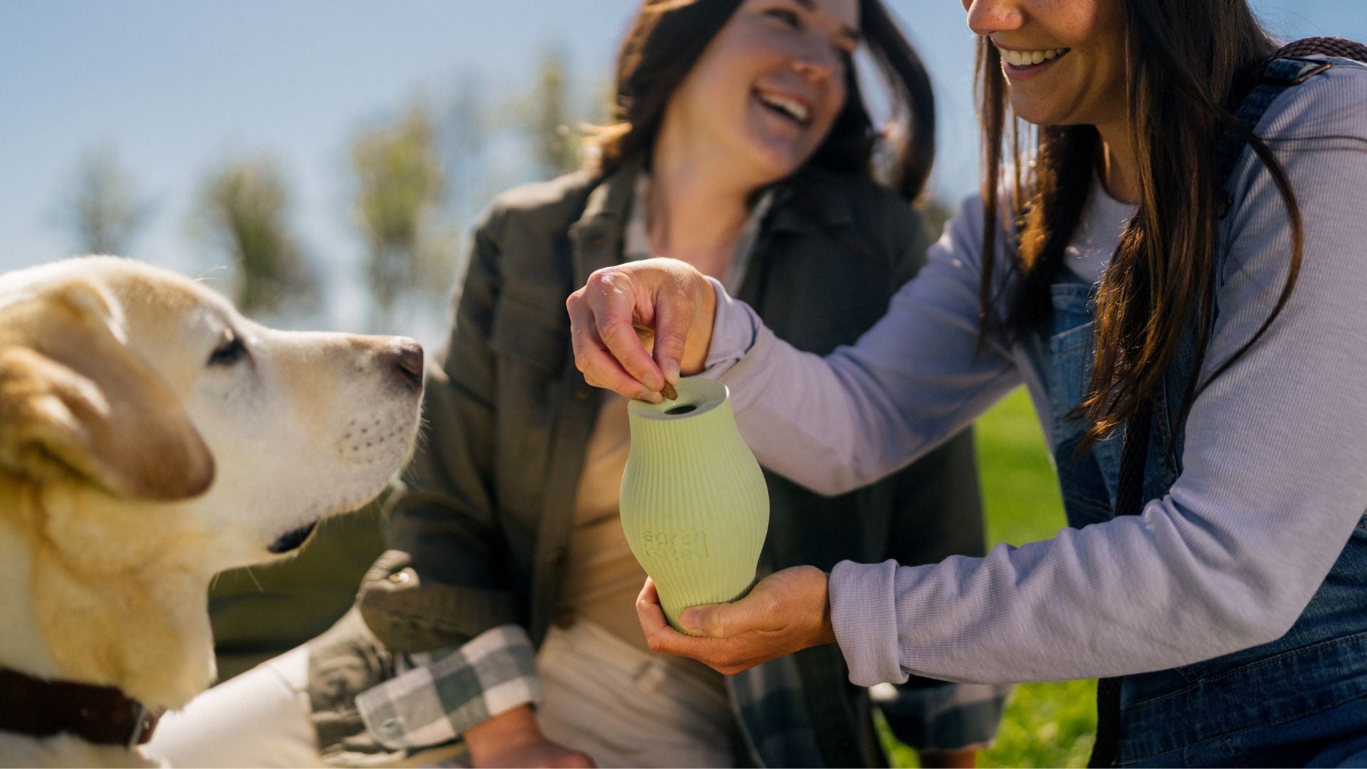 Top 4 Stimulating Dog Toys: Expert Recommendations