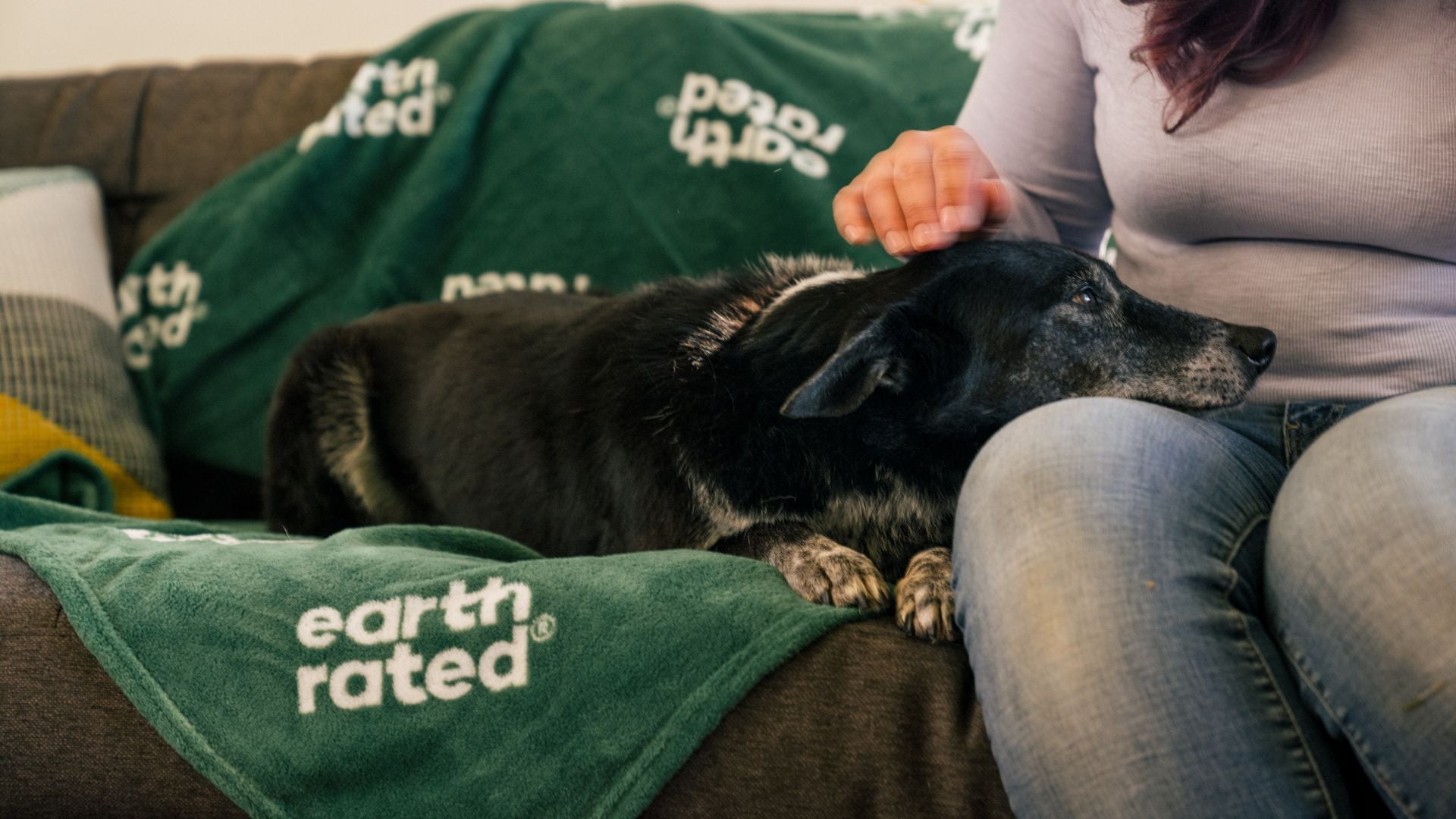 How to Calm an Anxious Dog