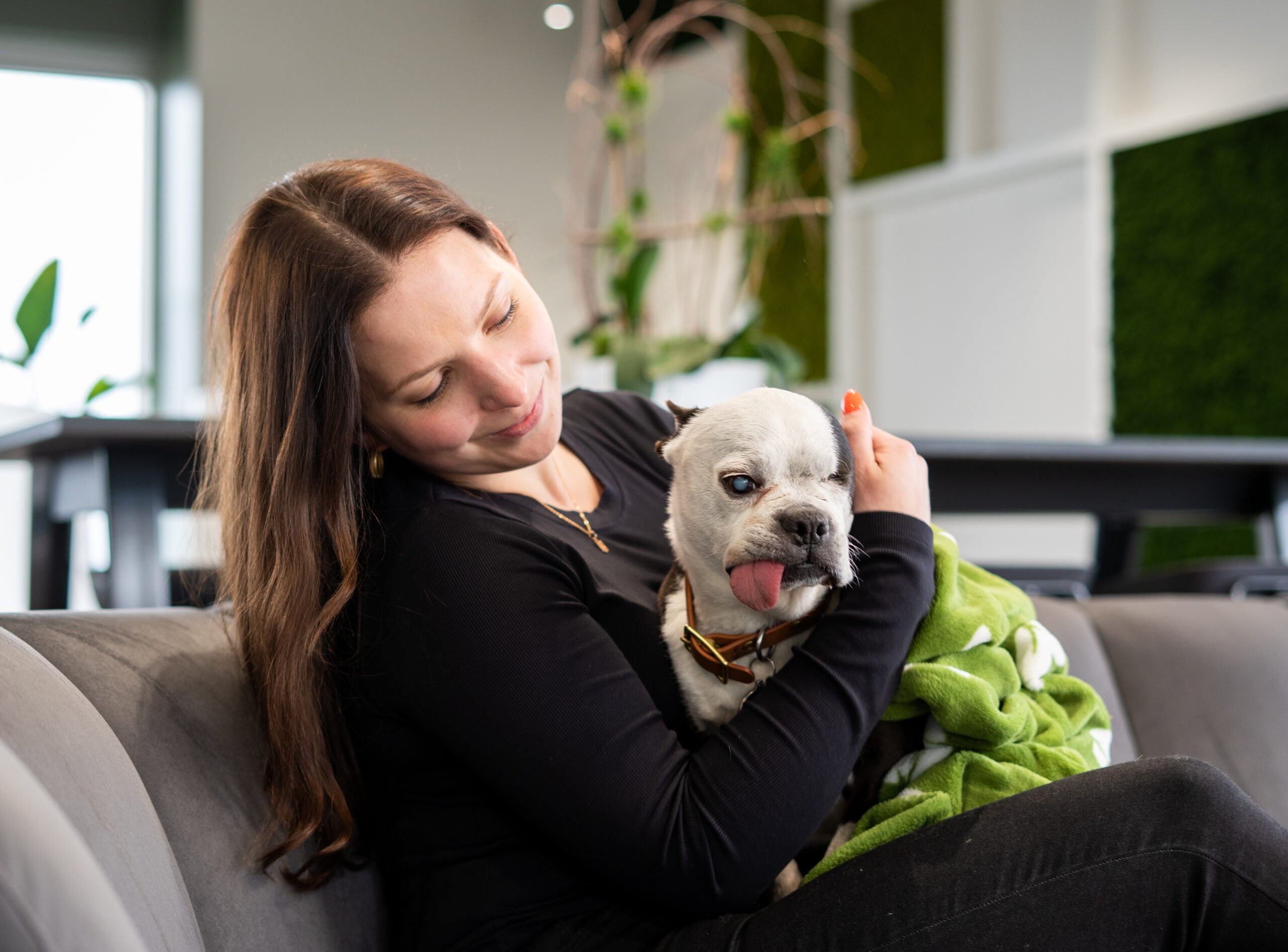 Things you Need to Know Before Adopting a Dog