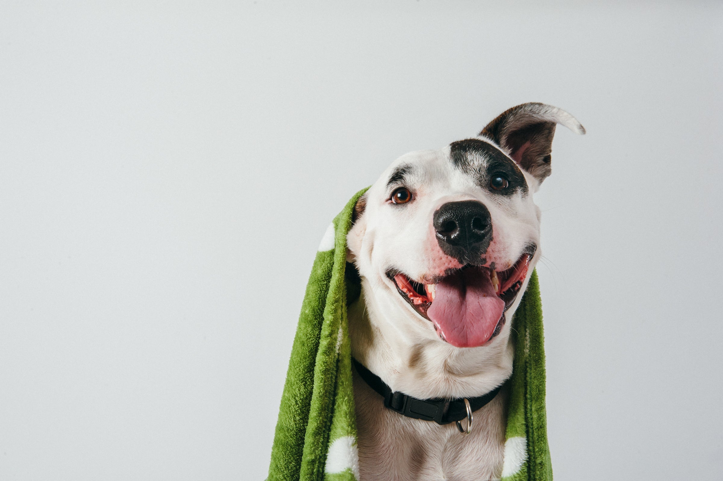 2018 Earth Rated Blankets Recipients List