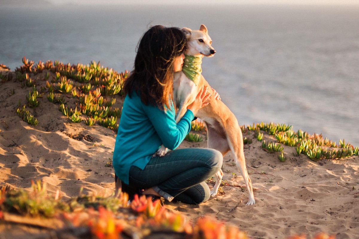 How to Reduce Stress With Your Dog