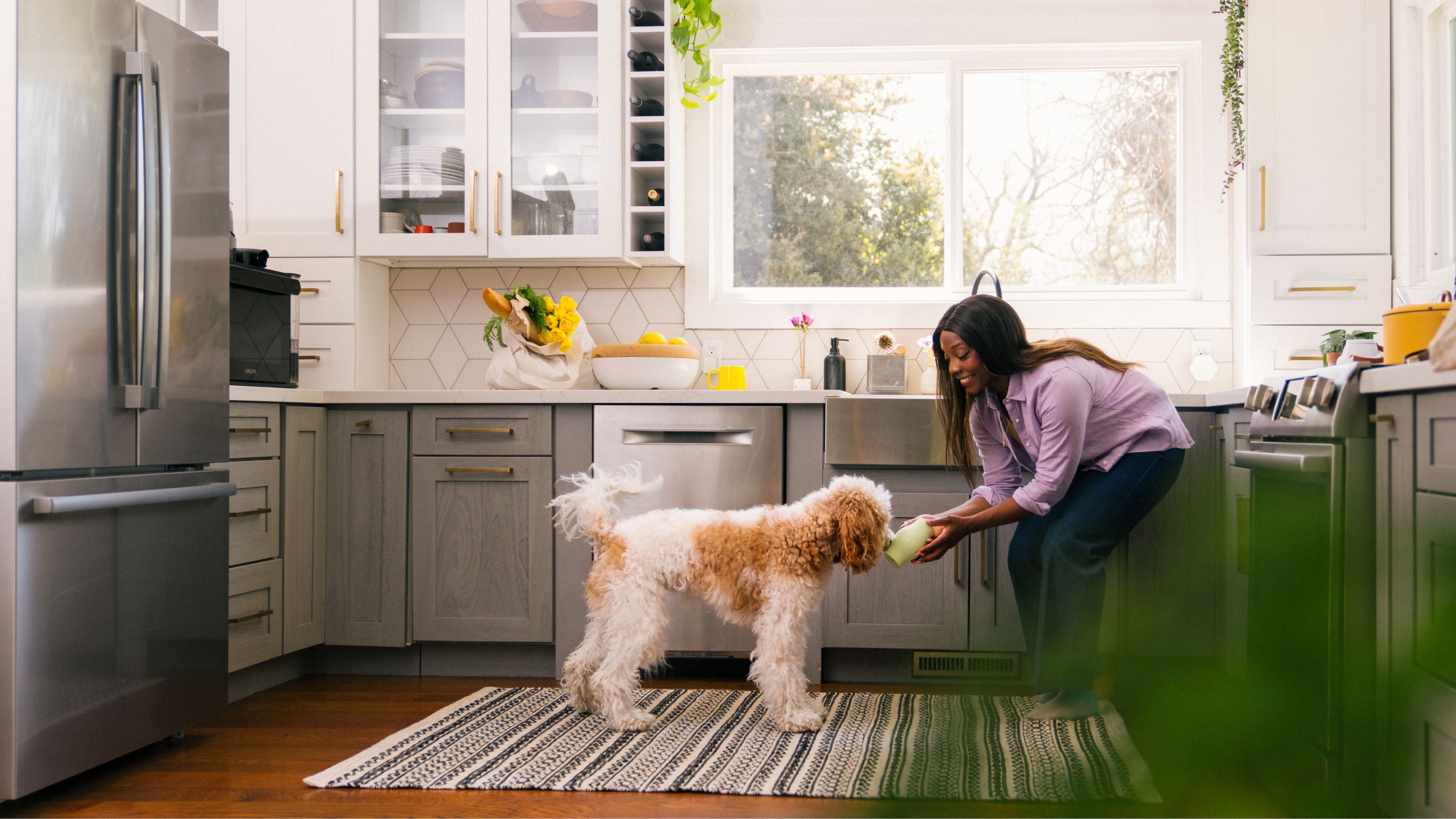 How to Help Your Dog Lose Weight: Expert Strategies