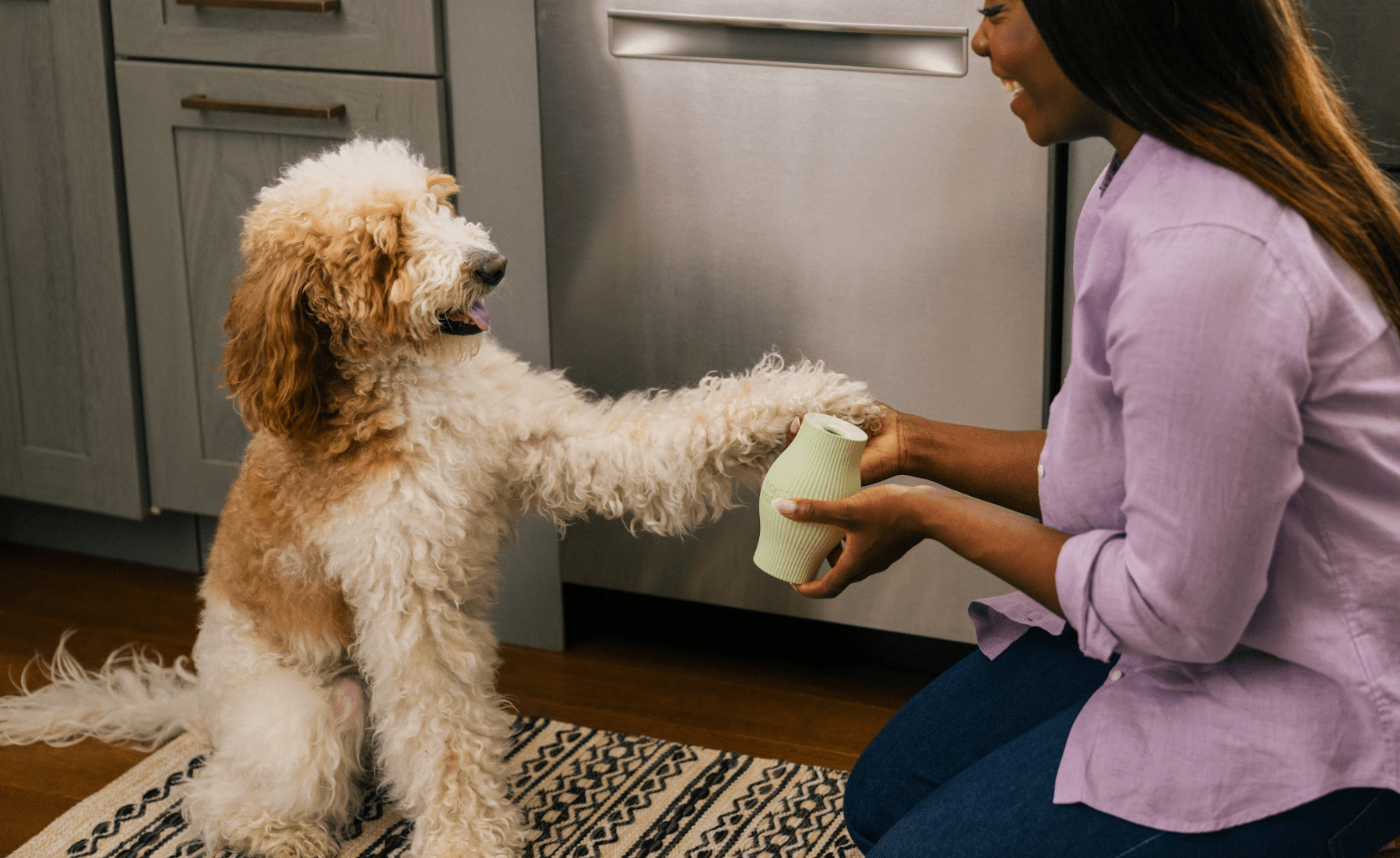Doodle Breeds 101: Characteristics, Care, and More