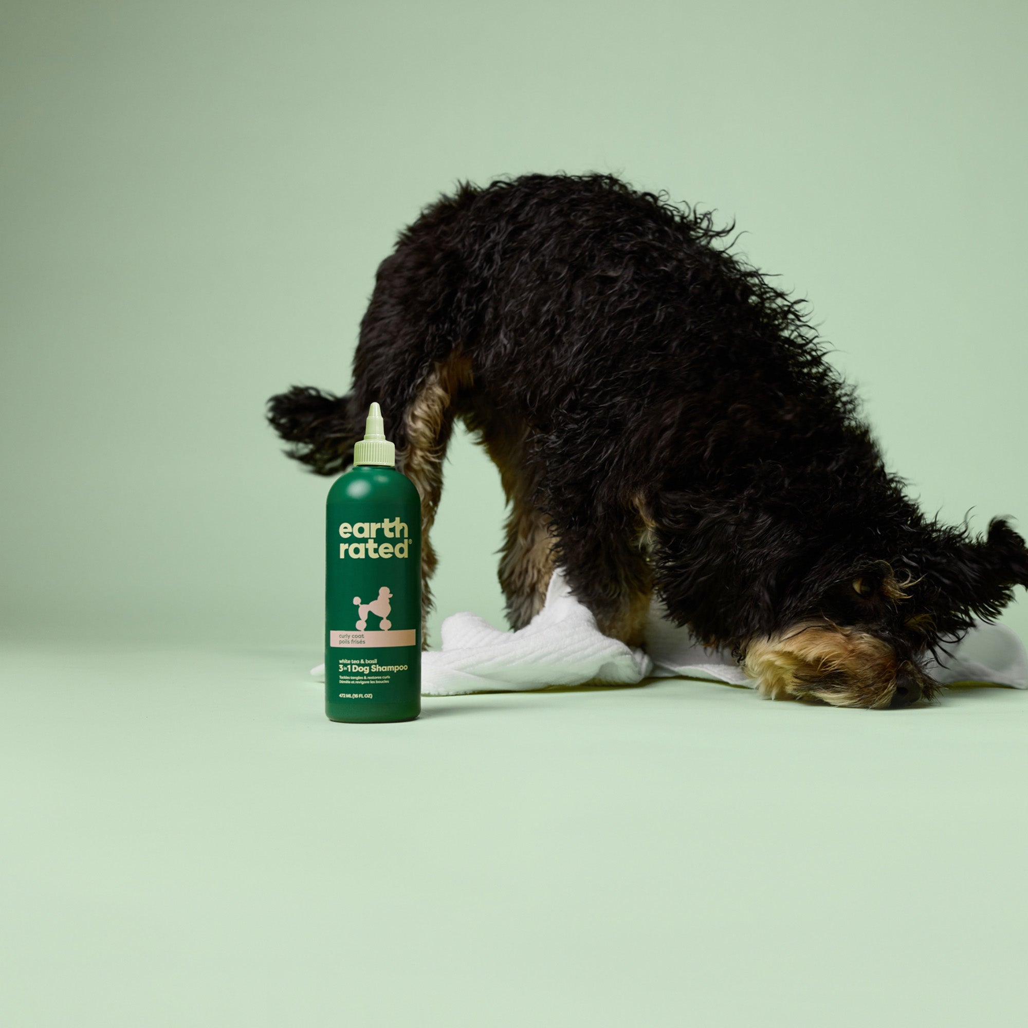 How to Get Mats Out of Dog Hair: Safe & Effective Solutions