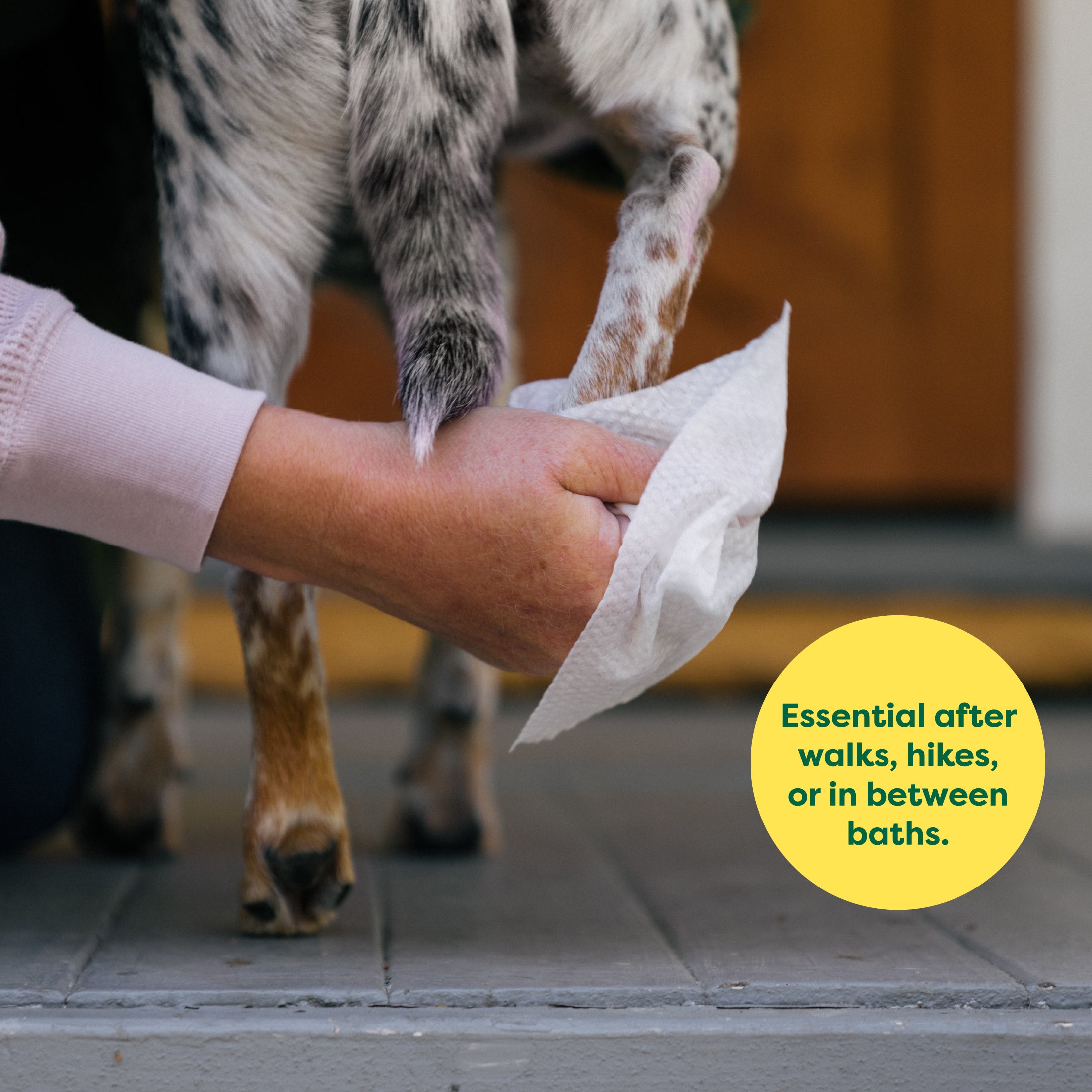 Options why you might need an earth rated grooming wipe 