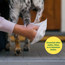 Options why you might need an earth rated grooming wipe 