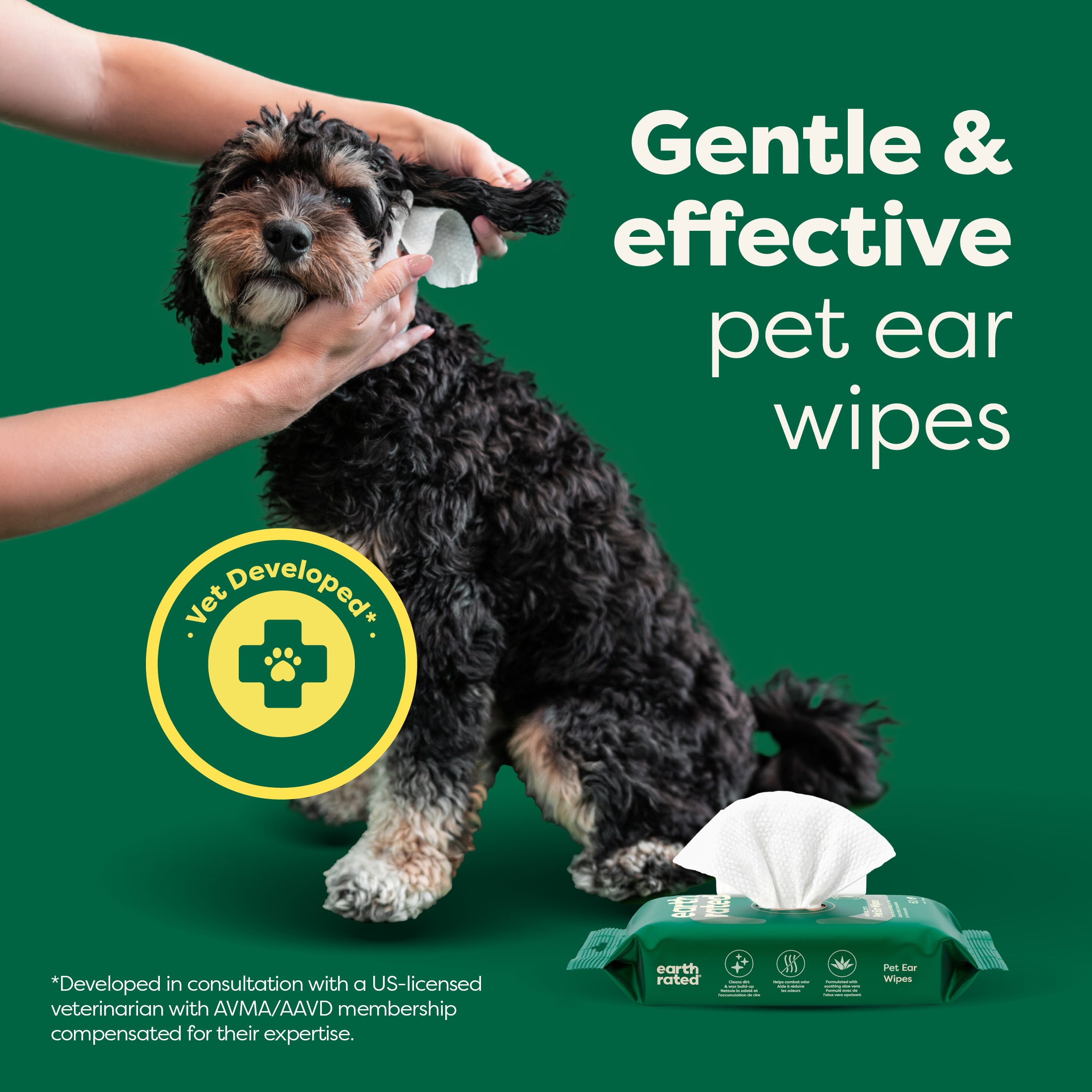 Ear Wipes