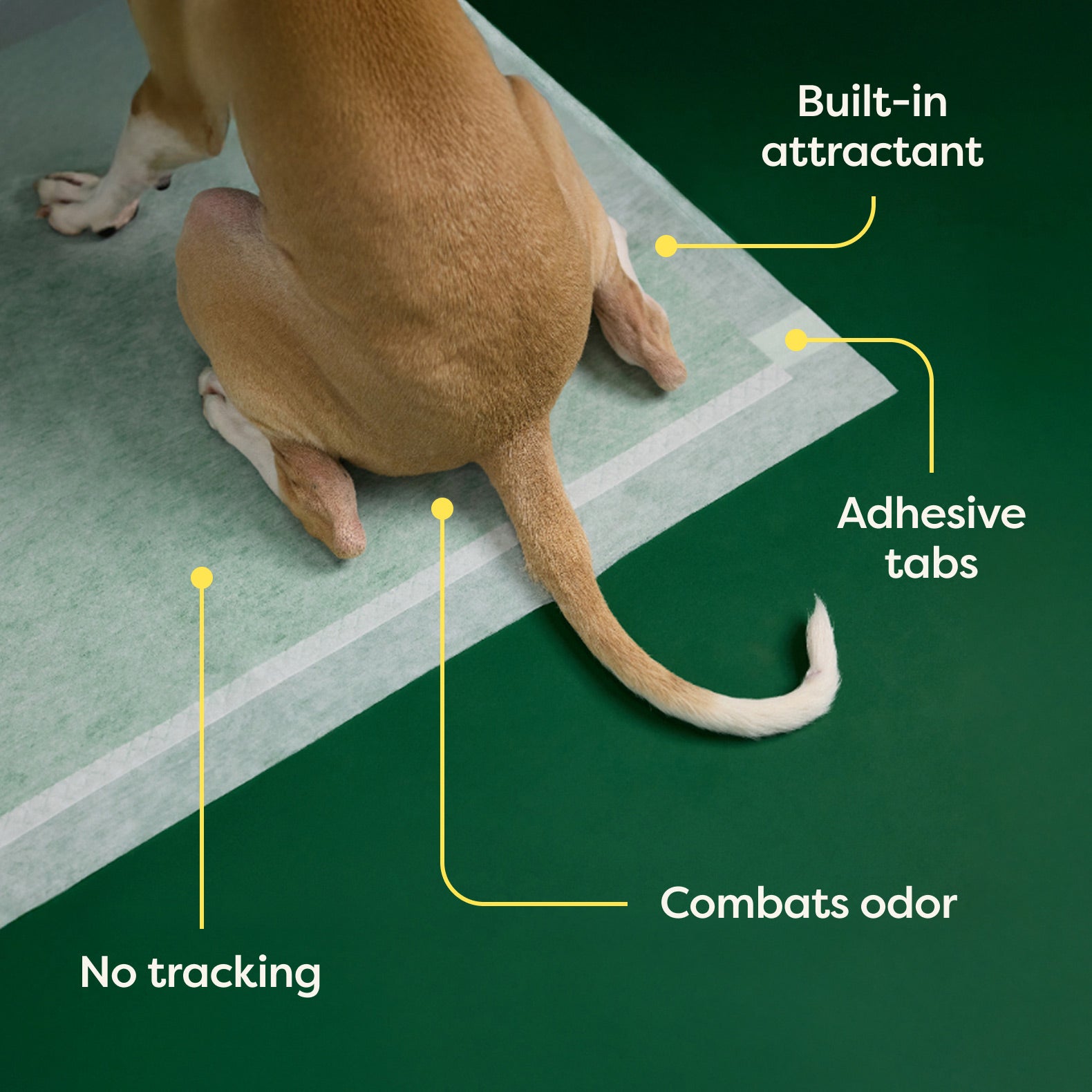 Dog Pee Pads - Ultra Absorbent Training Pads with AbsorbShield™+ Technology | 2X Faster Absorption