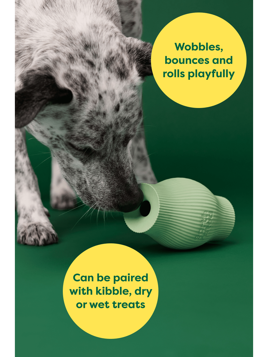 Treat Toy