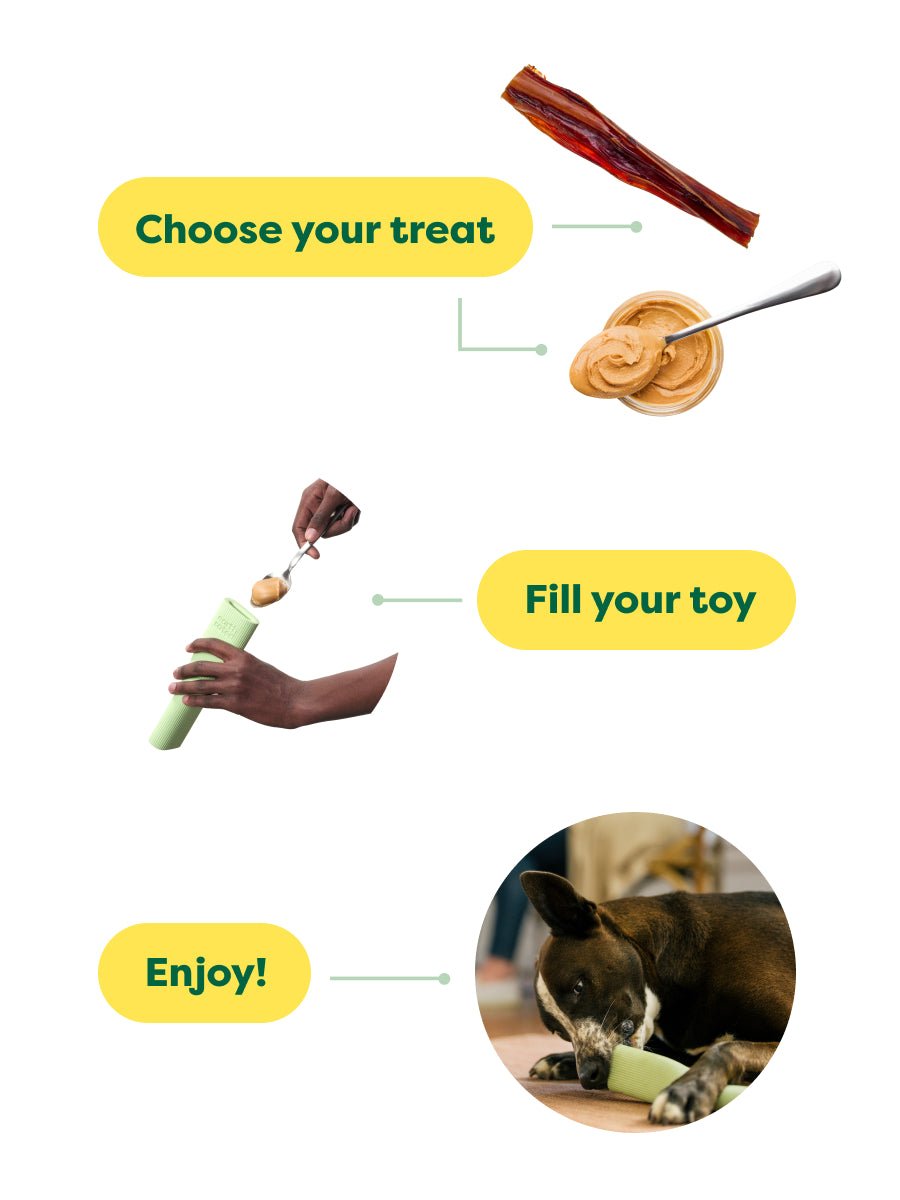 Earth Rated Dog Enrichment Toy: The Ultimate Snack Holder
